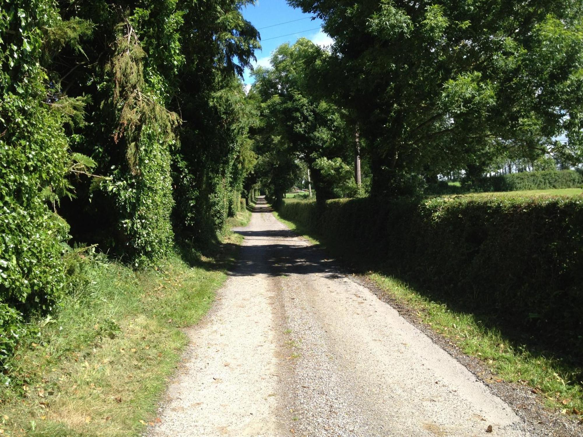 Ballindrum Farm B&B Athy Exterior foto
